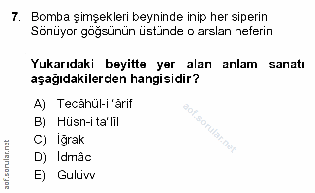 Soru 7