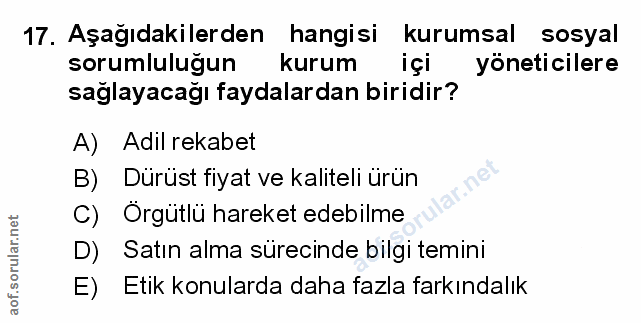 Soru 17