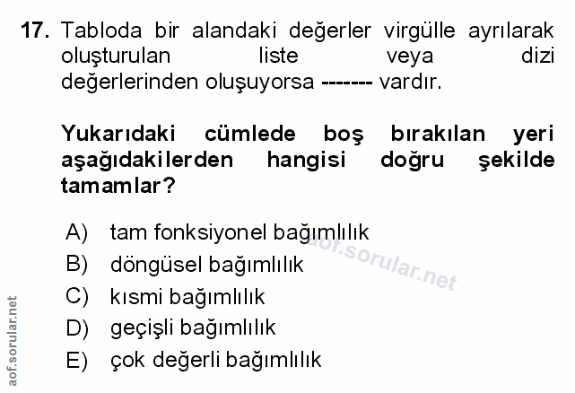 Soru 17