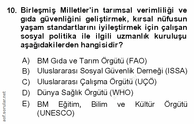 Soru 10