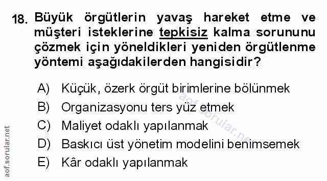 Soru 18