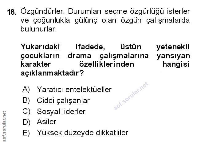Soru 18