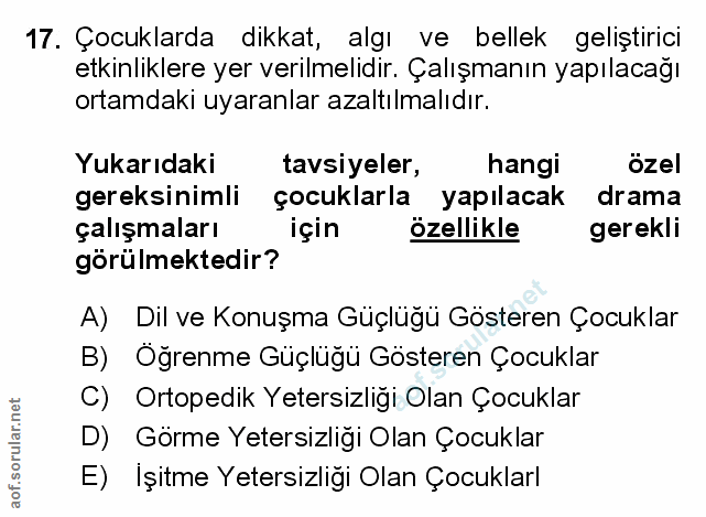 Soru 17
