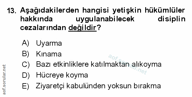 Soru 13