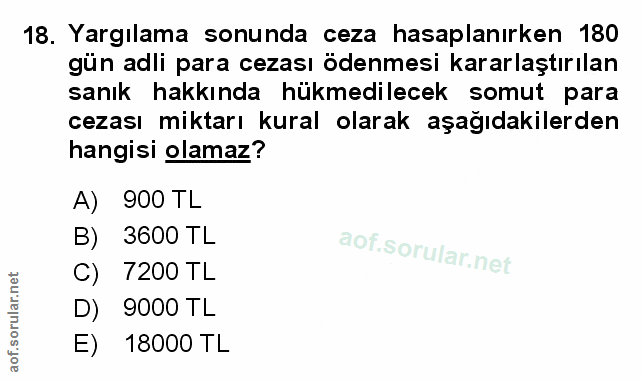 Soru 18