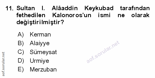 Soru 11