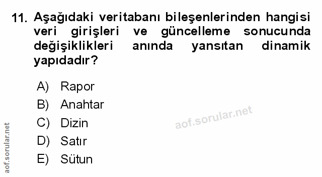 Soru 11