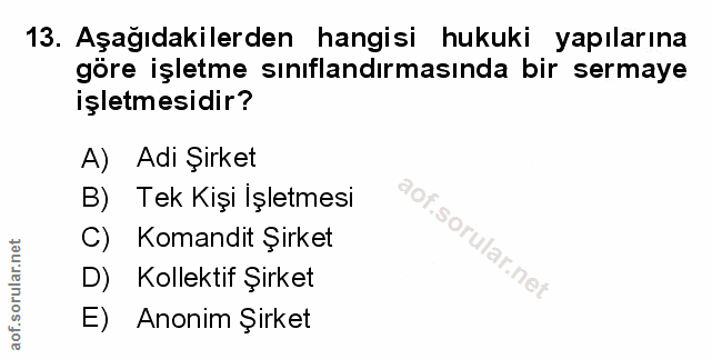 Soru 13
