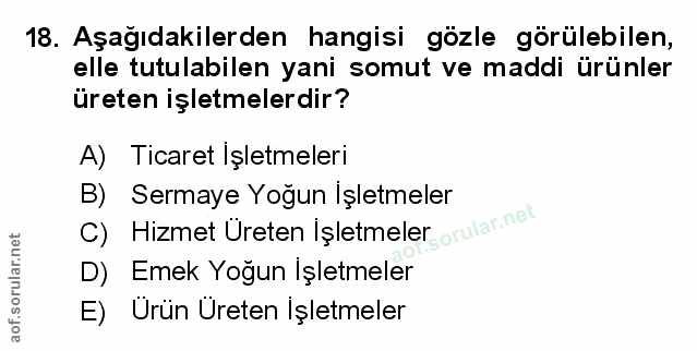 Soru 18