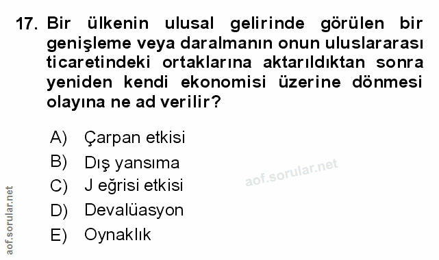 Soru 17