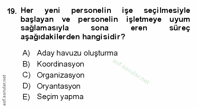 Soru 19