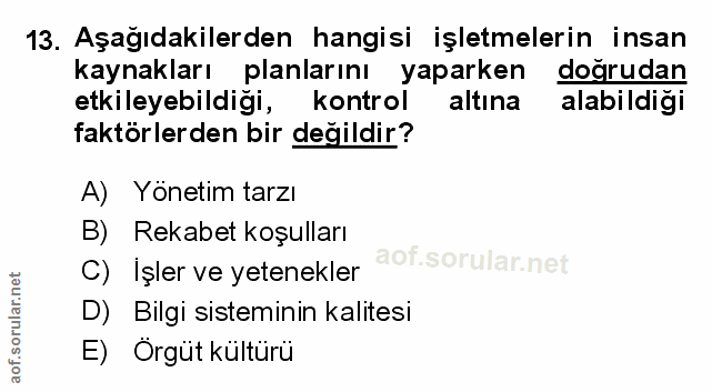 Soru 13