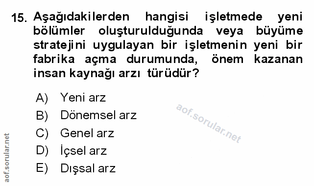 Soru 15