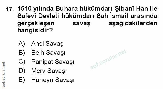 Soru 17