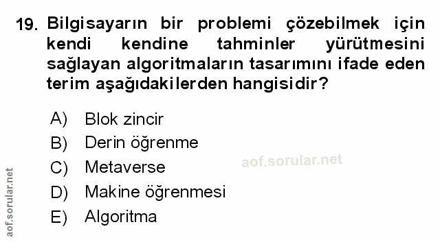 Soru 19