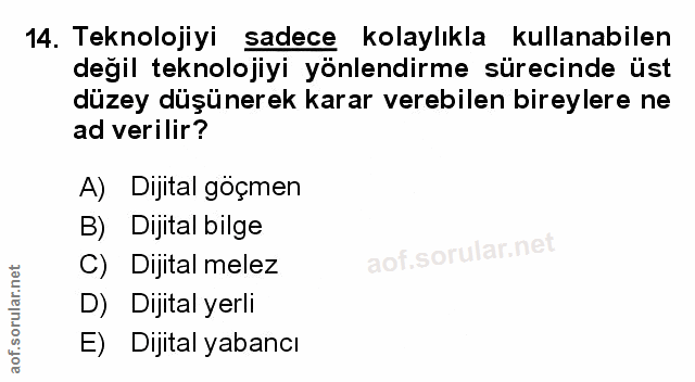 Soru 14