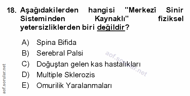 Soru 18