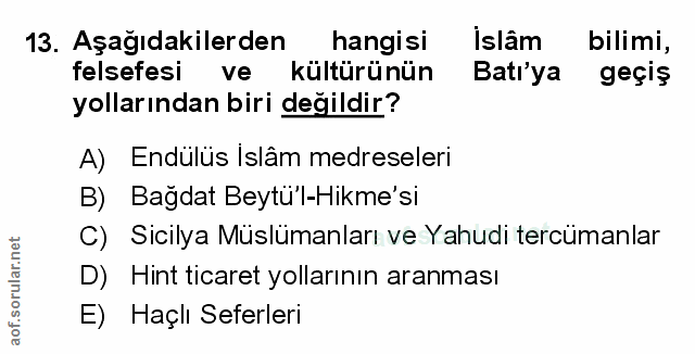 Soru 13
