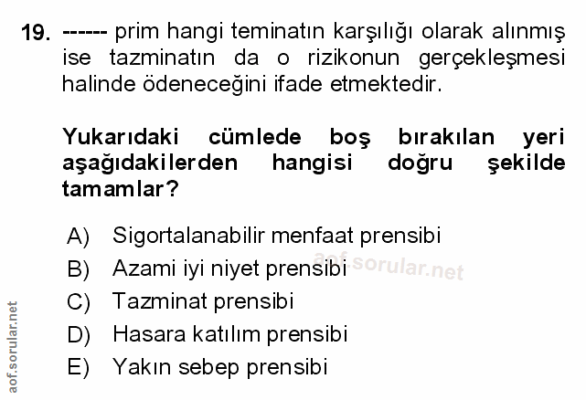 Soru 19