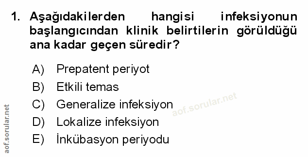Soru 1