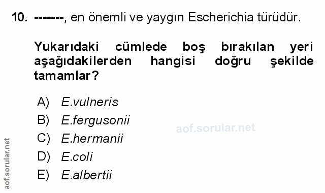 Soru 10