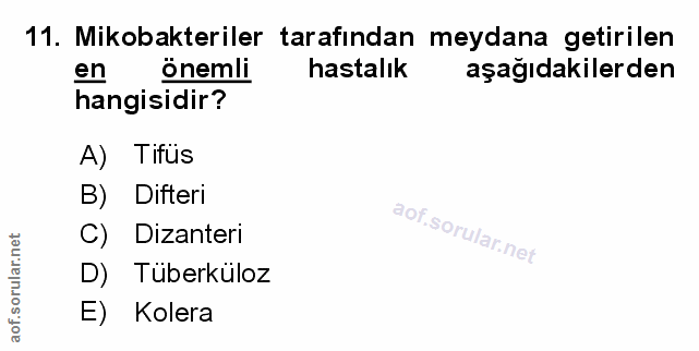 Soru 11