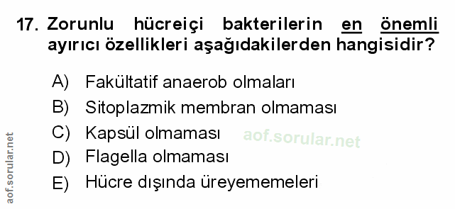 Soru 17