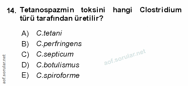 Soru 14