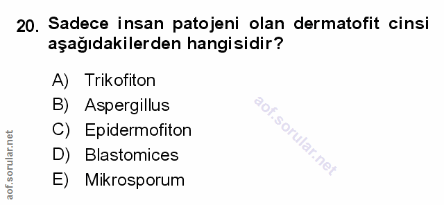 Soru 20
