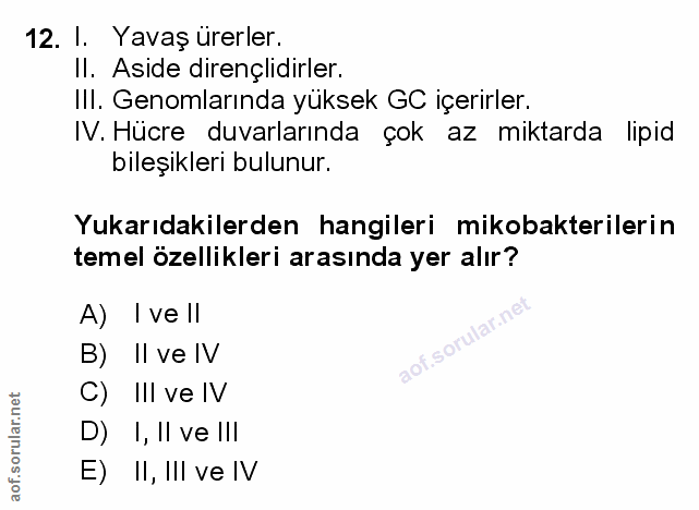 Soru 12