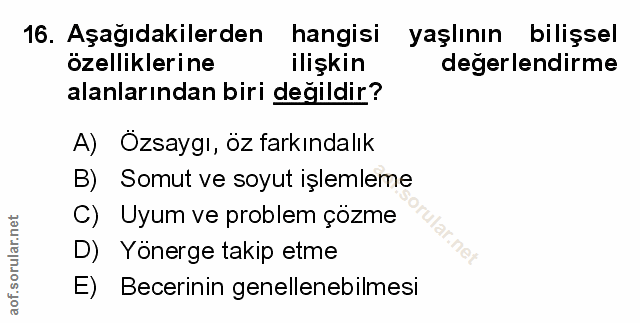 Soru 16