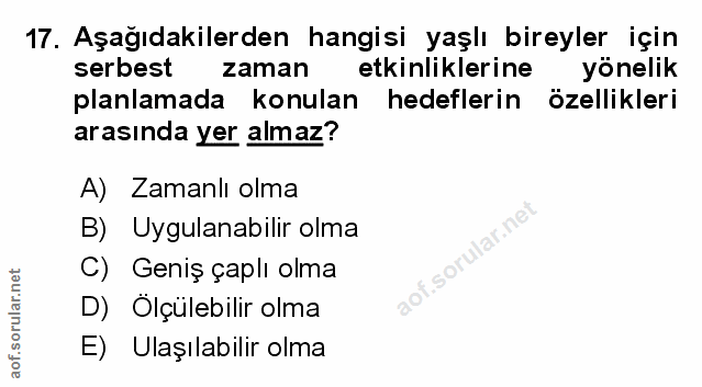 Soru 17