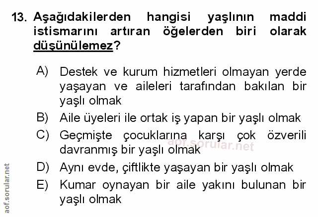 Soru 13