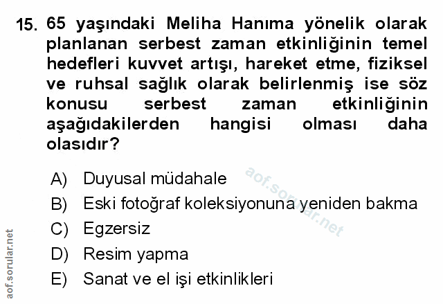 Soru 15
