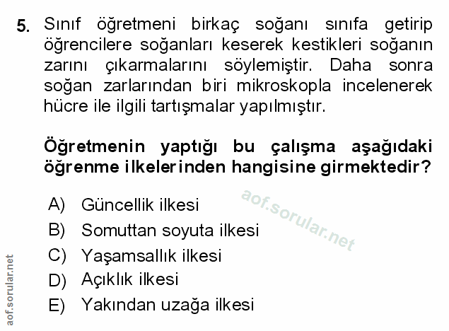 Soru 5