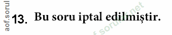 Soru 13