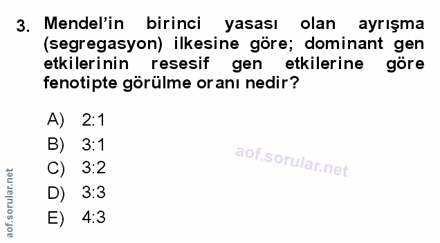 Soru 3