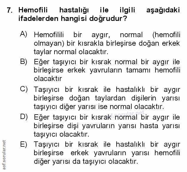 Soru 7