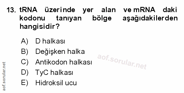 Soru 13