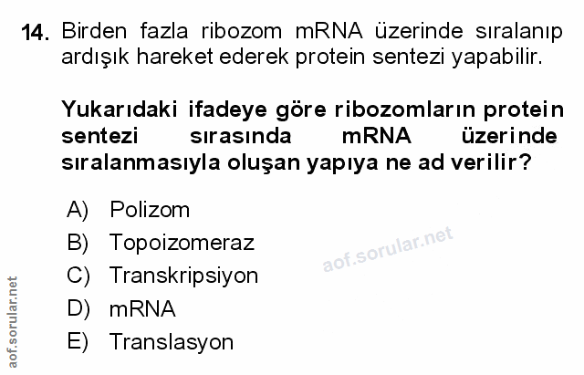 Soru 14