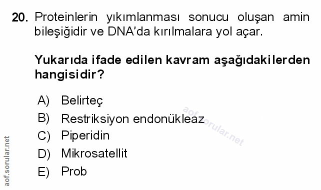 Soru 20