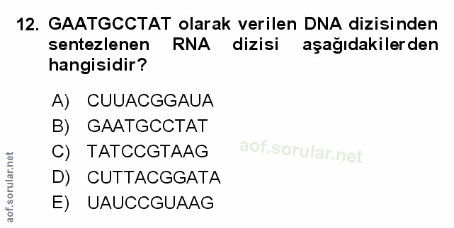 Soru 12