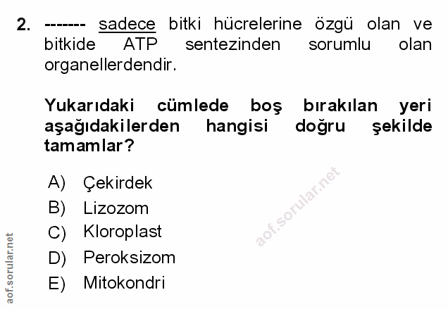 Soru 2