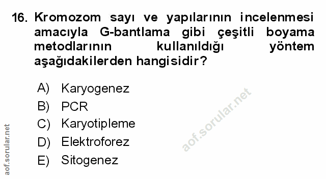 Soru 16