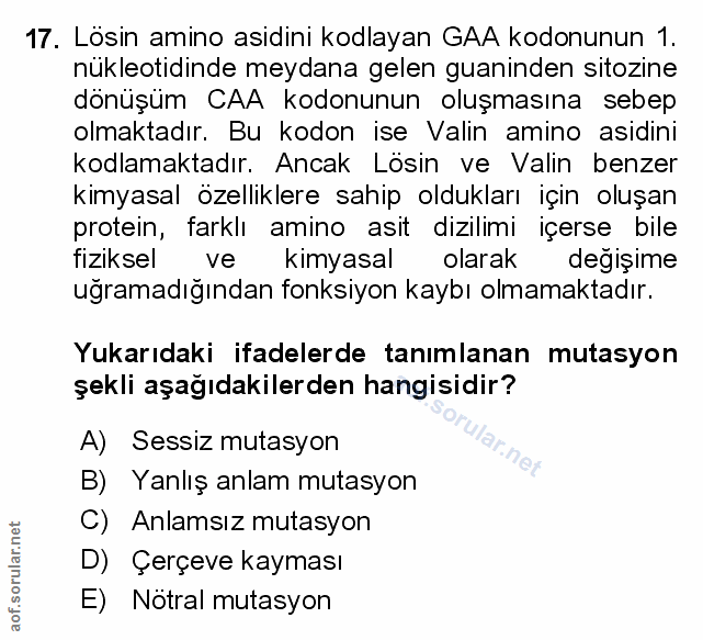 Soru 17
