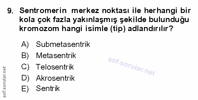 Soru 9