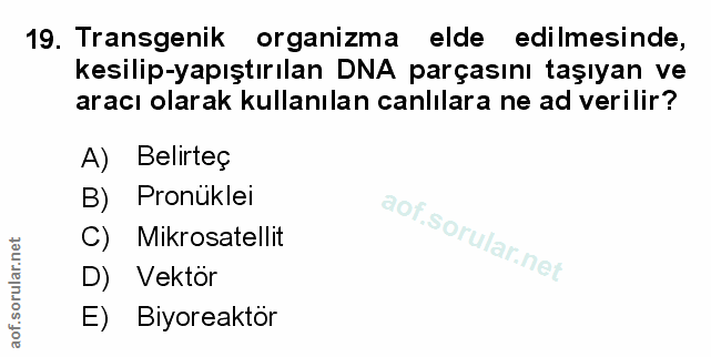 Soru 19
