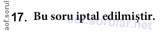 Soru 17