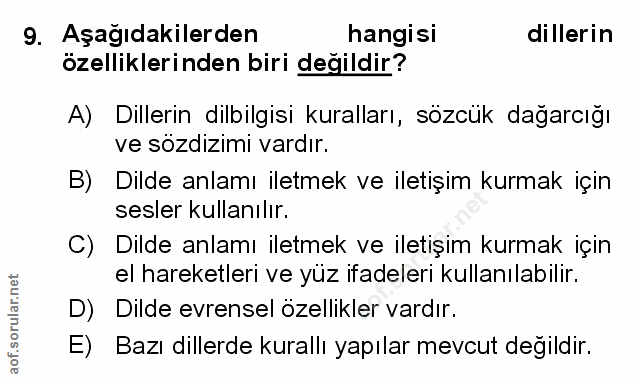 Soru 9
