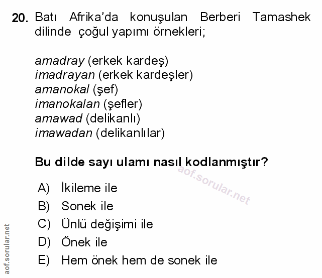 Soru 20